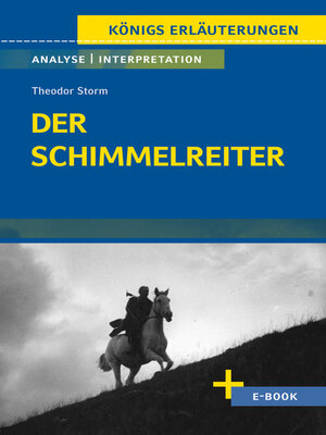 cover image of Der Schimmelreiter von Theodor Storm--Textanalyse und Interpretation